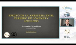 Módulo IX: Áreas críticas y anestesia - Efectos de la anestesia en el cerebro de jóvenes y ancianos