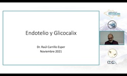 Módulo IX: Áreas críticas y anestesia - Glicocalix y endotelio