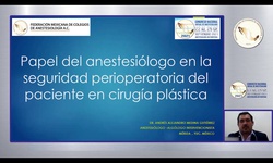 Papel del anestesiólogo en la seguridad perioperatoria del paciente en cirugía plástica